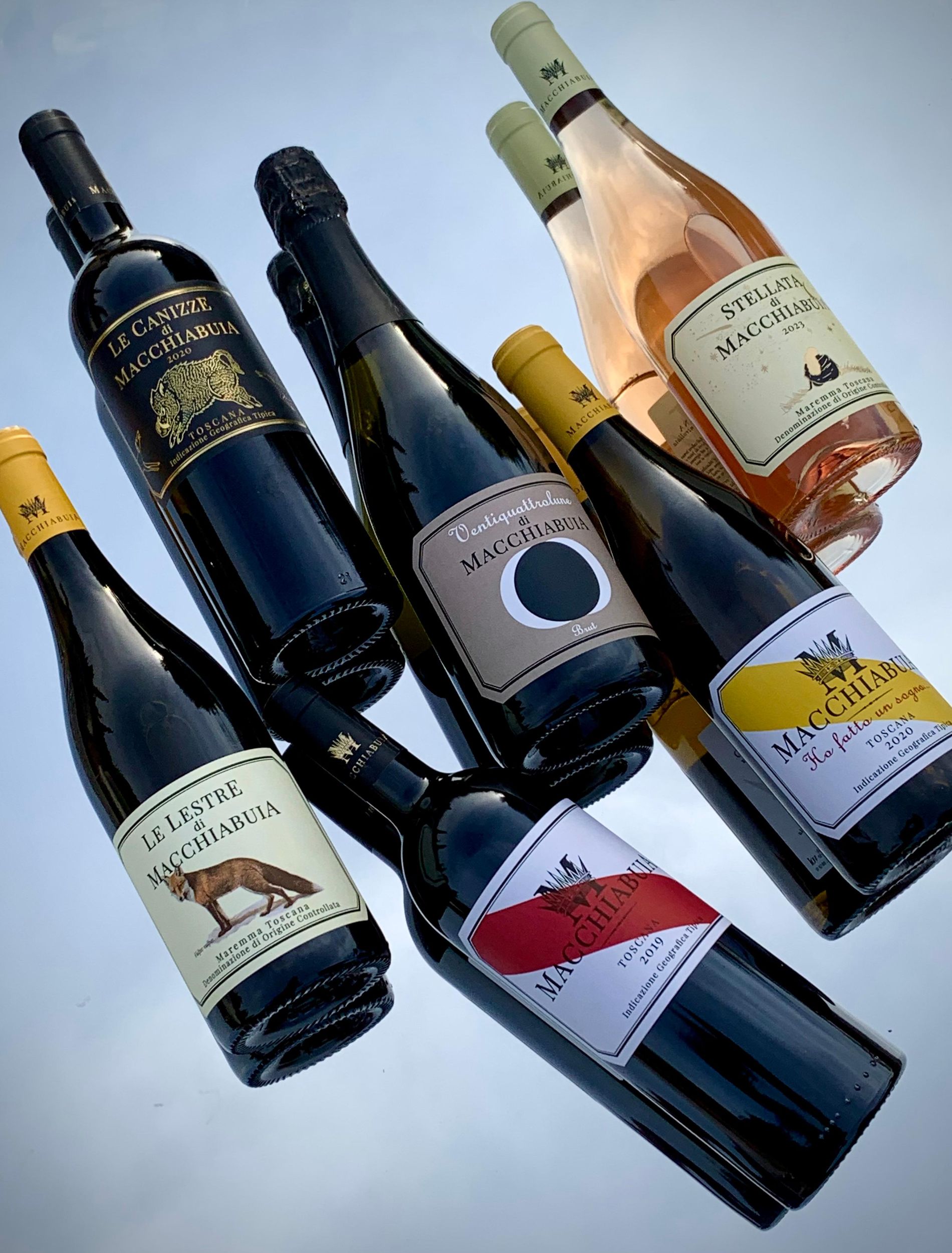 Capalbio: Wein- und Olivenölverkostung mit Blick auf die Weinberge