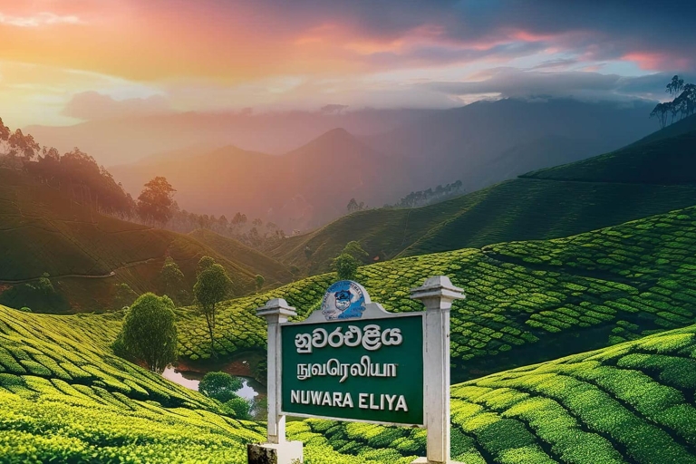 Kandy nach Nuwara Eliya Drop Tour mit dem Tuk Tuk Sri Lanka