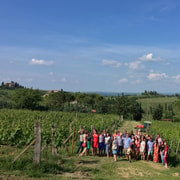 San Gimignano: Premium Wein Tour mit Mittagessen
