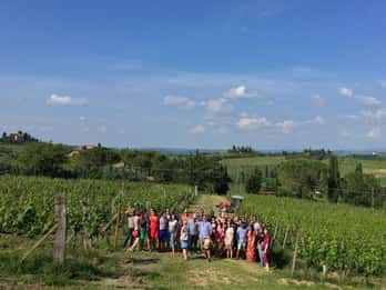 San Gimignano: Premium vintur med lunsj