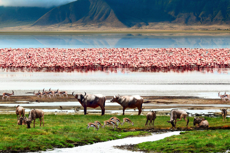 2 days Tanzania safari to Tarangire and Lake Manyara