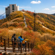 Busan: Outskirts Tour with Ice Valley Cable Car, UNESCO Site