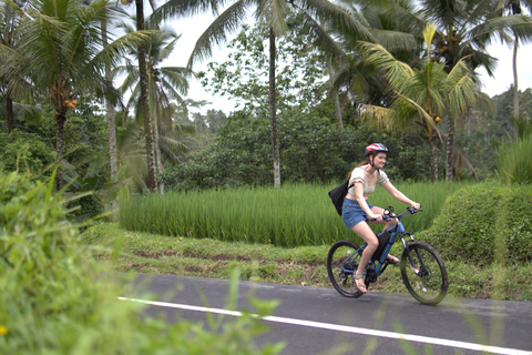Ubud: E-Bike Tour with Rice Terrace and Village Visit Ubud: E-Bike Tour with Rice Terrace and Village Visit