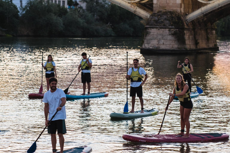 Siviglia: tour di paddle surf sul fiume GuadalquivirSiviglia: tour in paddle surf sul fiume Guadalquivir