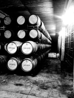 Rioja, visite de 3 caves en anglais - Housity