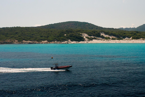 From Saint-Florent: Boat Transfer to Saleccia or Lotu Beach Transfer to Lotu Beach