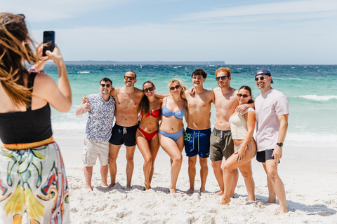 悉尼：杰维斯湾之旅，探访海滩、考拉和袋鼠上午7:30从圣安德鲁大教堂出发。