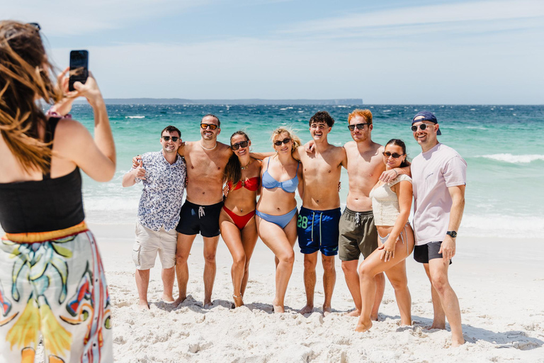 悉尼：杰维斯湾之旅，探访海滩、考拉和袋鼠上午7:30从圣安德鲁大教堂出发。