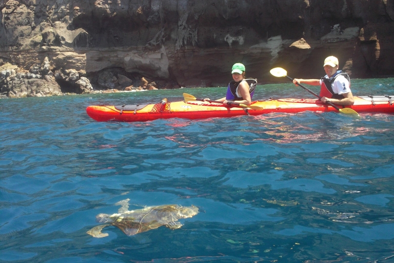 Santorini South Discovery: introducción al kayak de marSantorini South Discovery: kayak de mar con picnic