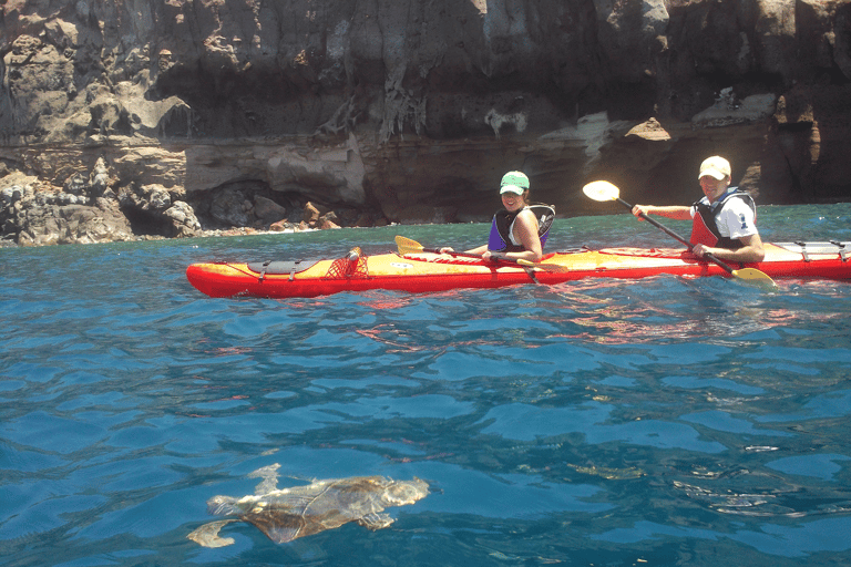 Santorini: South Sea Kayaking Tour with Sea Caves and Picnic Tour with Transfer