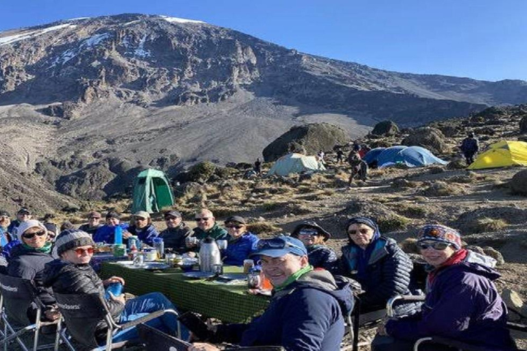 KILIMANJARO: The best 6 days Lemosho Route climbing