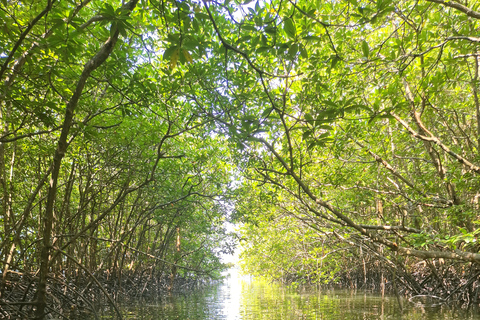 Khao Lak Hidden Gems - (Canoes, Turtles, and Temples)