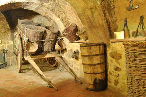Aranda de Duero: Tour of Underground Cellar and Wine Museum