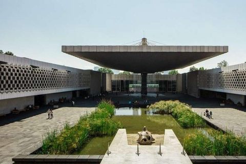 Anthropology Museum: 10 Masterpieces Tour