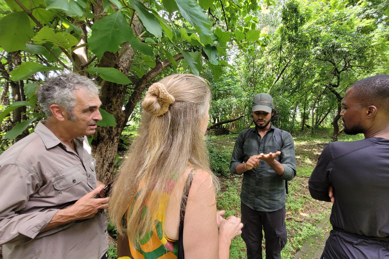 Mumbai: Parco Naturale del Maharashtra - Percorso naturalistico guidatoMumbai: Percorso naturalistico guidato nel Maharashtra Nature Park