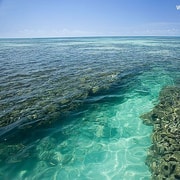 Playa De Paripueira Tour De D A Getyourguide