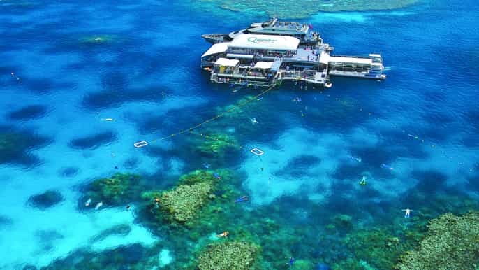 quicksilver outer barrier reef fullday cruise