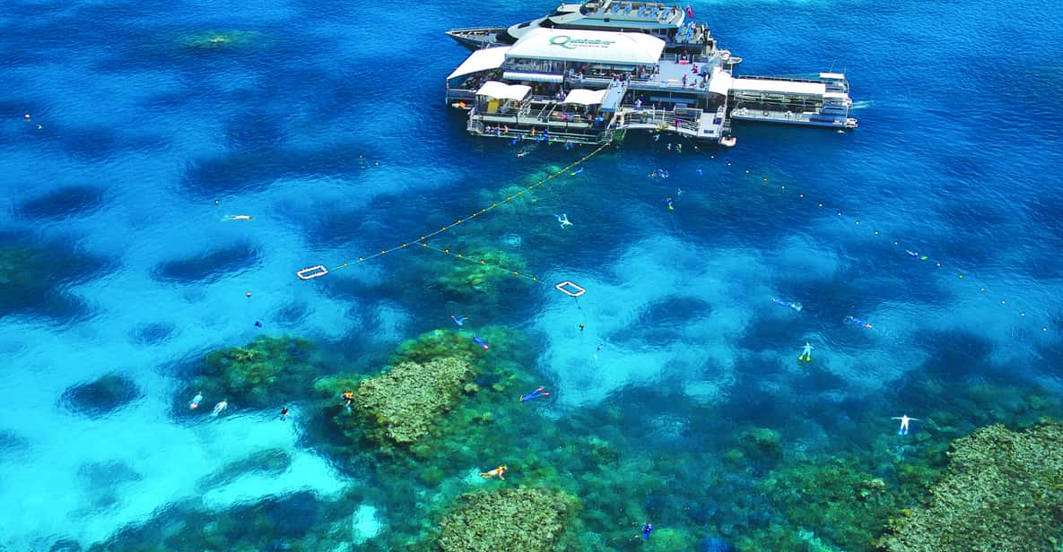 Quicksilver Outer Barrier Reef FullDay Cruise GetYourGuide