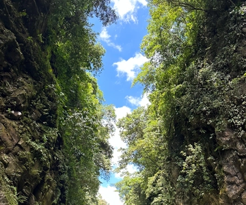 Pacuare River Rafting