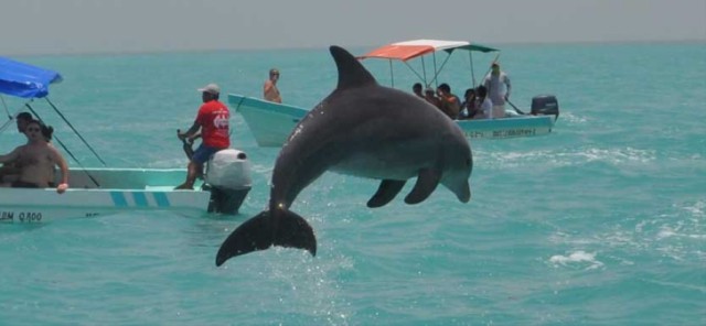 Cancun: Sian Ka'an Adventure and Dolphin Sightseeing