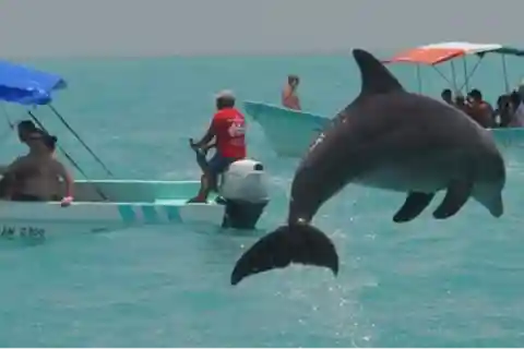 Cancun : Aventure Sian Ka'an et visite guidée des dauphins