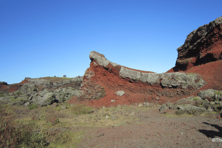 ريكيافيك: جولات ركوب الخيل