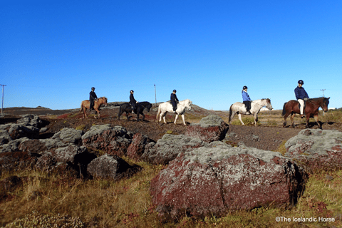 ريكيافيك: جولات ركوب الخيل