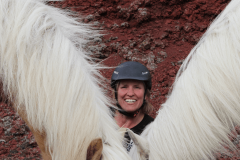 ريكيافيك: جولات ركوب الخيل