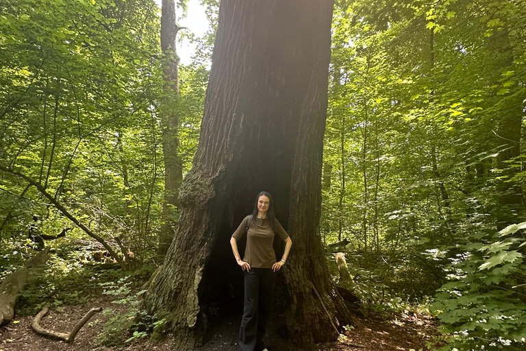 Leipzig: Rosental Park Forest Bathing and Qigong Session
