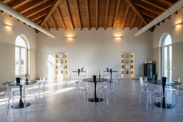 Visit Tenuta San Lorenzo Wine & Food Tasting Experience in Serravalle Scrivia