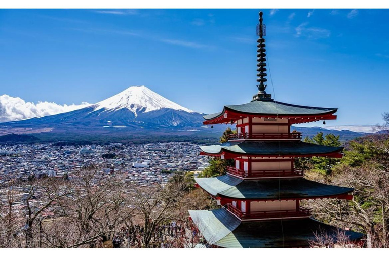 Private day tour to Mt.Fuji with english speaking driver