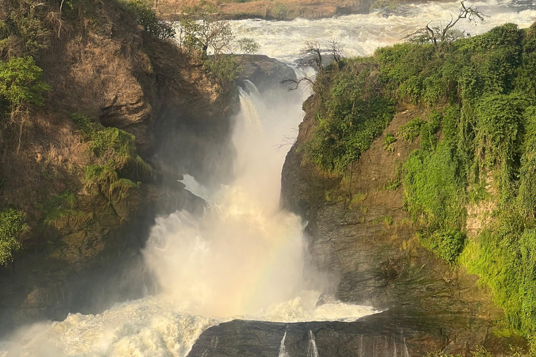 3-Day Best of Uganda Big5 Safari Tour in Murchison Falls NP