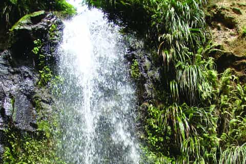 From Castries: Full-Day Catamaran Tour of Saint Lucia