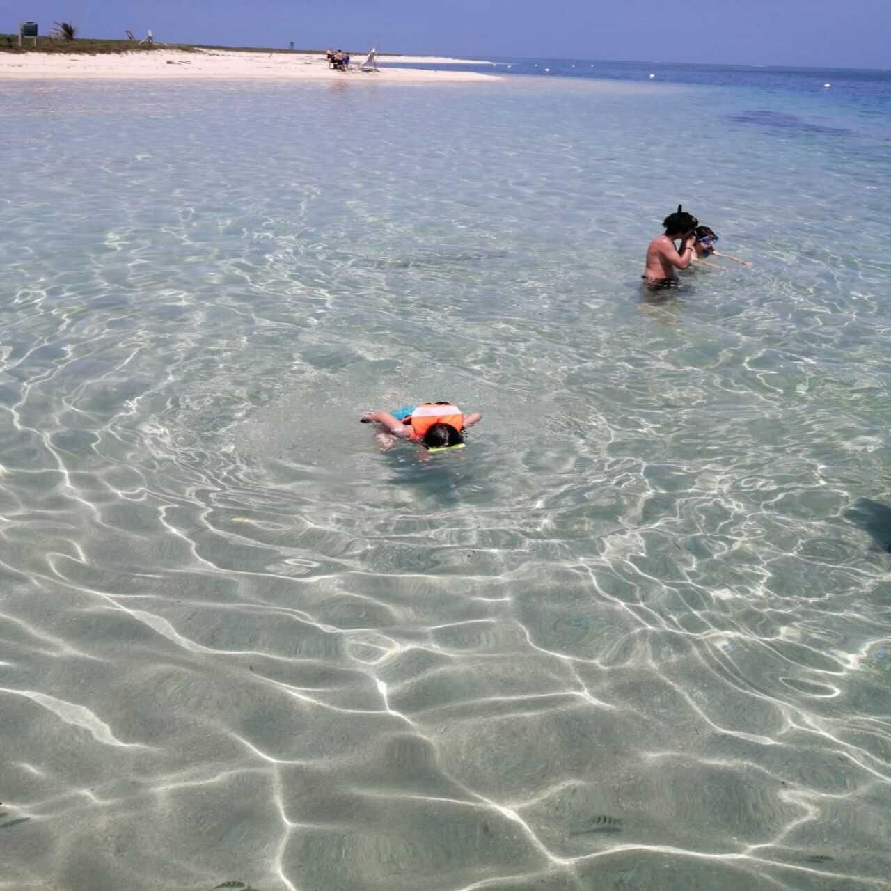 Veracruz: Schnorchelabenteuer auf der Isla de En Medio
