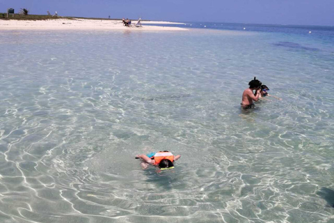 Veracruz: Snorkeling Adventure at Isla de En Medio