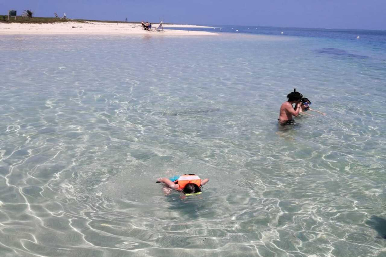 PLONGÉE EN APNÉE ( ISLA DE EN MEDIO)