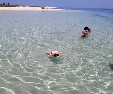 Veracruz: Avventura di snorkeling all'Isla de En Medio