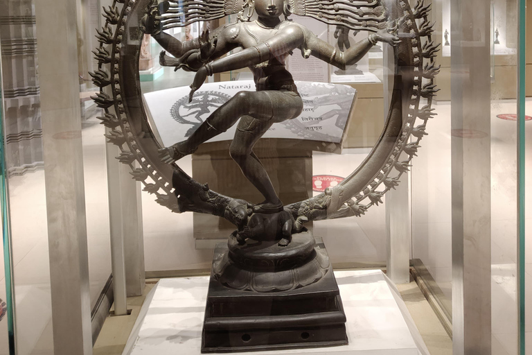 Delhi: Tour del Museo Nazionale