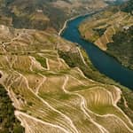 Porto: Tour della Valle del Douro di un giorno intero in barca, treno e pranzo