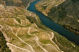 Porto: Ganztagestour mit Boot, Zug und Mittagessen im Douro-Tal