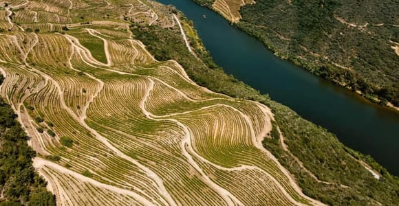 The Douro by train instead of a coach tour – who it suits