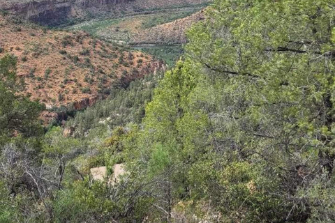 كريسوتيل أريزونا: رحلات على الطرق الوعرة إلى مناظر خلابة لوادي ريجال