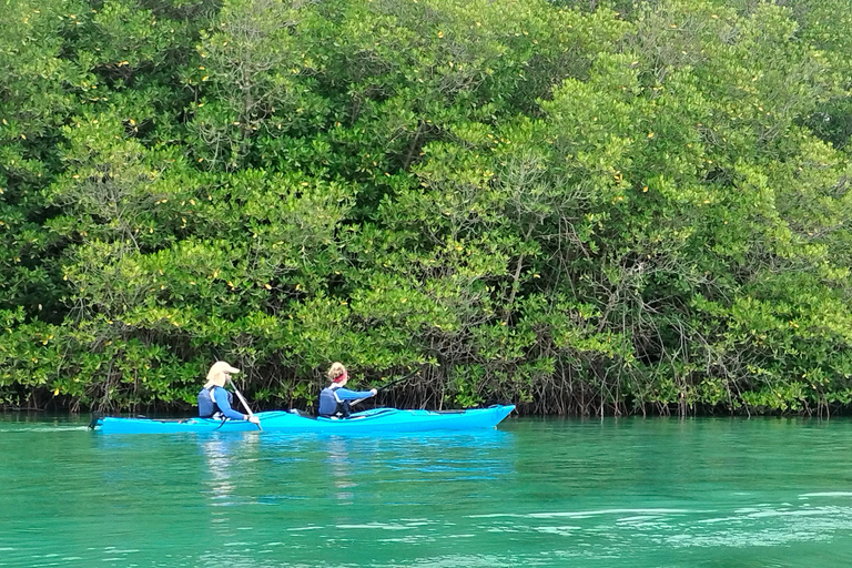 2D1N Excursión en kayak por Komodo