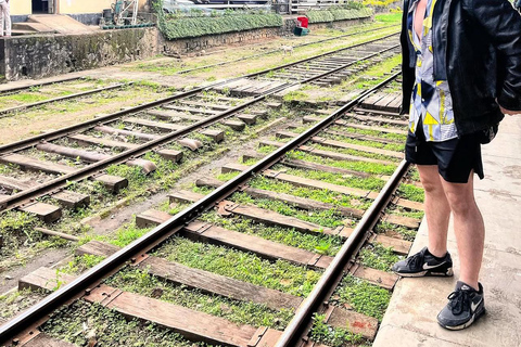 Ella To Kandy Private Transfer With Train Ride Experience