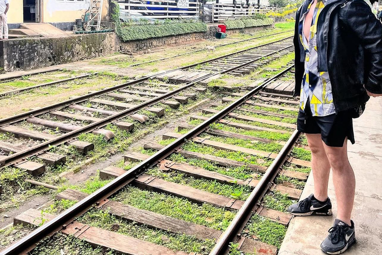 Ella To Kandy Private Transfer With Train Ride Experience