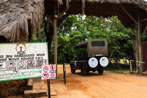 Depuis Zanzibar : Safari de nuit dans le Selous G.R. avec volssafari partagé