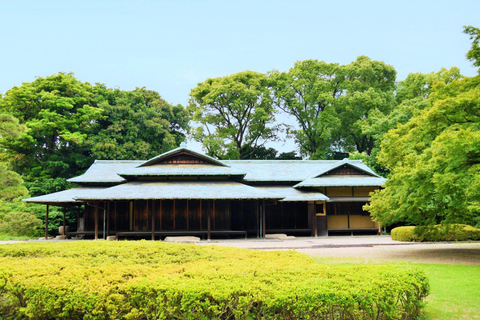 Tokyo: Imperial Palace Shogun and Edo Castle Walking Tour