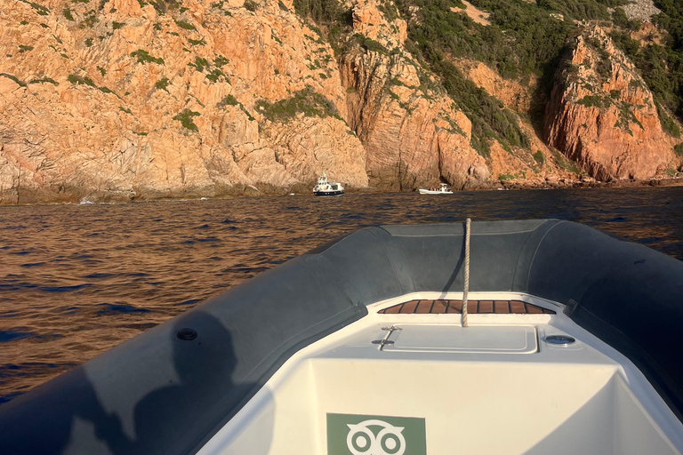 De Cargèse : Le grand tour du Golfe