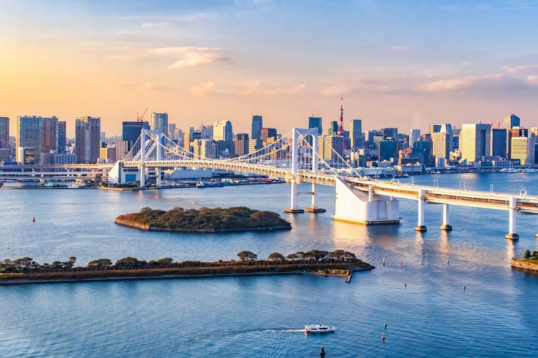 Tokyo: Private Luxury Day Tour with Hotel Pickup and DropOff