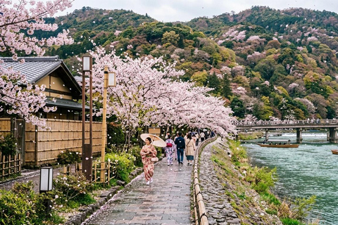 Kyoto: Private Guided Tour With Vehicle and Optional Add-Ons